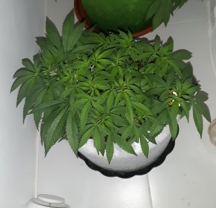 20221223_101837.jpg 20221223_101837.jpg