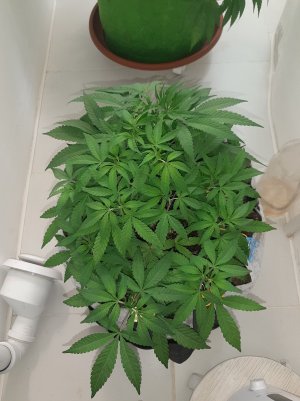 20221223_101819.jpg 20221223_101819.jpg