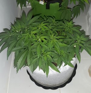 20221223_101552.jpg 20221223_101552.jpg