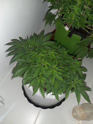 20221223_101532.jpg 20221223_101532.jpg