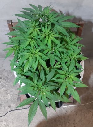 20221223_115702.jpg 20221223_115702.jpg