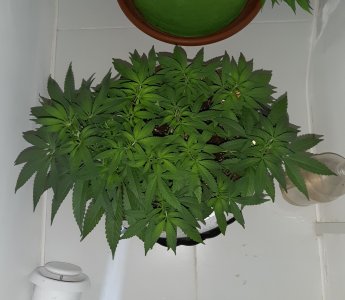 20221223_115527.jpg 20221223_115527.jpg