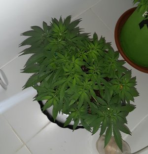 20221223_115506.jpg 20221223_115506.jpg