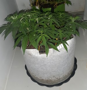 20221223_115213.jpg 20221223_115213.jpg