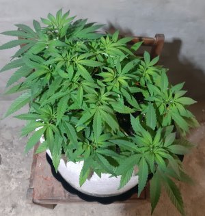 20221223_115139.jpg 20221223_115139.jpg