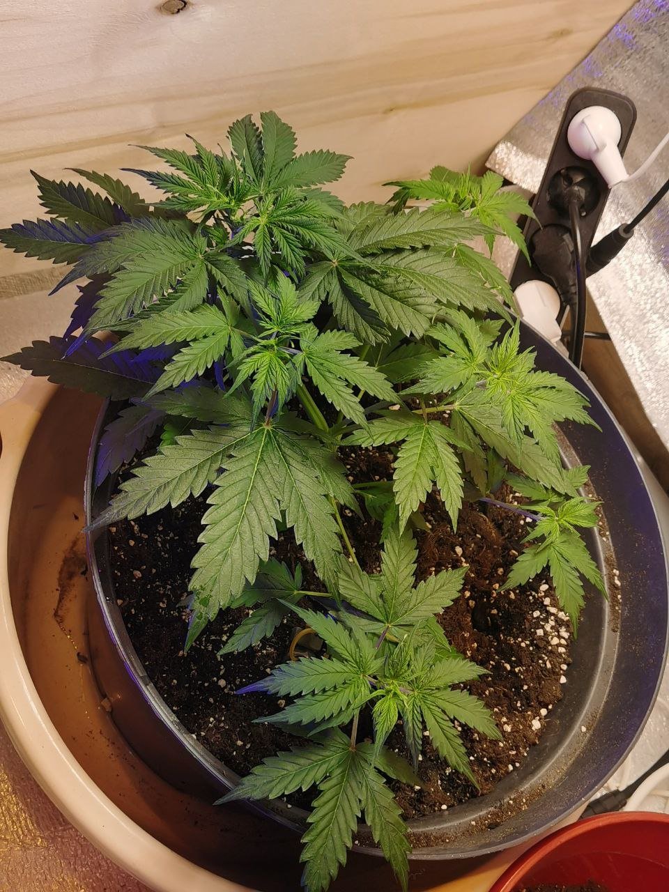 13 — копия.jpg