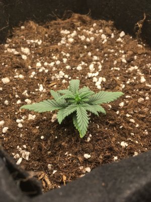 imgonline-com-ua-dexifFBcFEJwVWQDE.jpg imgonline-com-ua-dexifFBcFEJwVWQDE.jpg