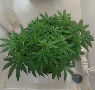 20221224_133657.jpg 20221224_133657.jpg