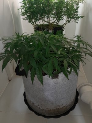 20221224_133714.jpg 20221224_133714.jpg