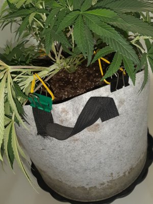 20221224_133413.jpg 20221224_133413.jpg