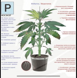 9FF3EE8E-0082-447F-9A1F-E5FCD57E8E06.jpeg 9FF3EE8E-0082-447F-9A1F-E5FCD57E8E06.jpeg