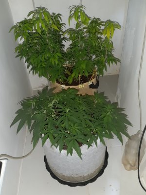 20221225_073534.jpg 20221225_073534.jpg