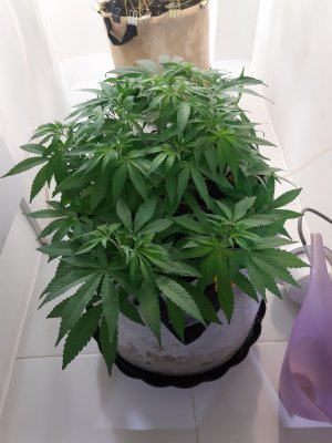 20221225_073414.jpg 20221225_073414.jpg