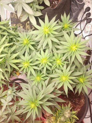 IMG_20221225_111114_389.jpg IMG_20221225_111114_389.jpg