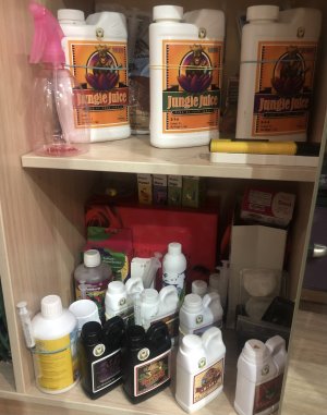 B96007C7-9B3E-446A-981C-1A204390AEE0.jpeg B96007C7-9B3E-446A-981C-1A204390AEE0.jpeg