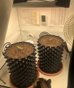 E1E8289E-11E0-495C-B0D8-B8BE8FA74A44.jpeg E1E8289E-11E0-495C-B0D8-B8BE8FA74A44.jpeg