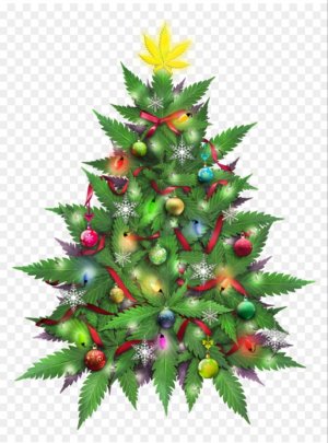 20221230_082236.jpg 20221230_082236.jpg