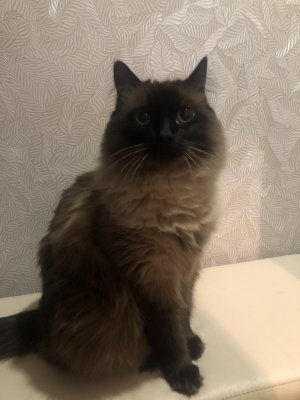 D4B73440-D2DD-4C4C-96BD-4C23E1E3D7D6.jpeg D4B73440-D2DD-4C4C-96BD-4C23E1E3D7D6.jpeg