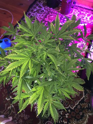 IMG_7542.JPG IMG_7542.JPG