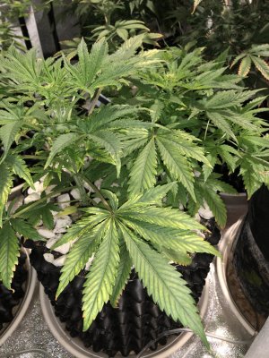 IMG_7567.JPG IMG_7567.JPG