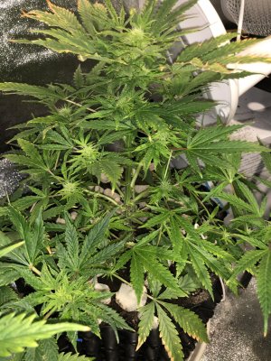 IMG_7566.JPG IMG_7566.JPG