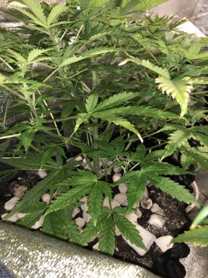 IMG_7563.JPG IMG_7563.JPG