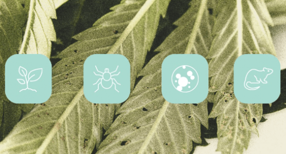 1673176616546.png 1673176616546.png