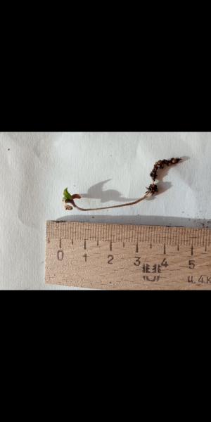 Screenshot_20221220-112040.png Screenshot_20221220-112040.png