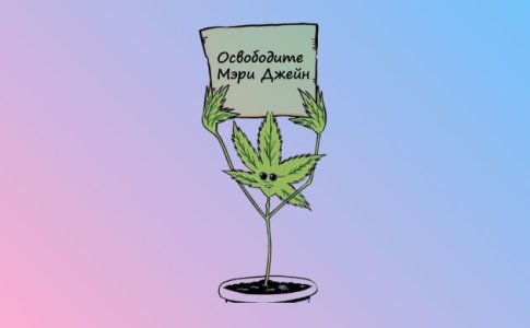 Закаливание молодого растения перед высадкой в аутдор Закаливание молодого растения перед высадкой в аутдор