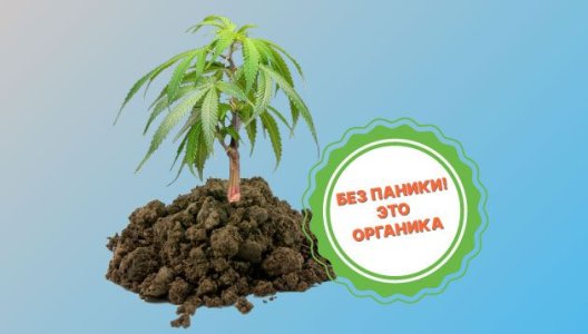 Органический супергрунт для конопли Органический супергрунт для конопли