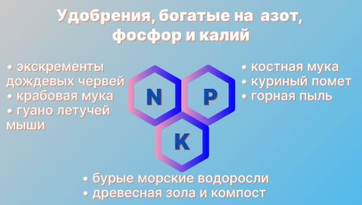 Особенности выращивание конопли в супергрунте Особенности выращивание конопли в супергрунте