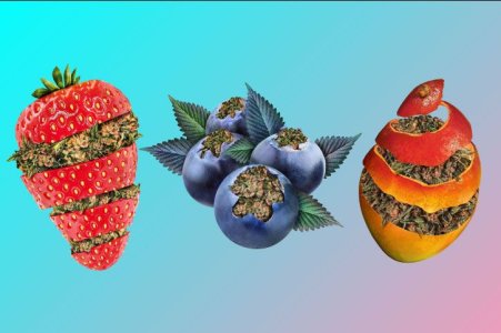 Почему пахнет конопля - терпены конопли Почему пахнет конопля - терпены конопли