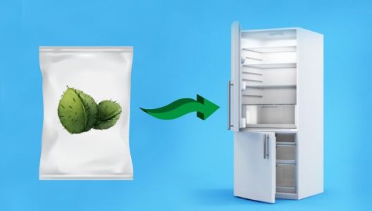 Температура для хранения семян конопли