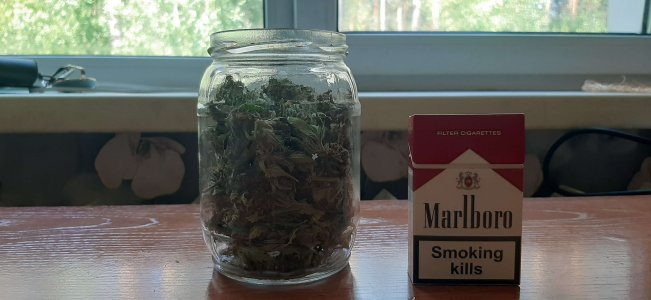 20210731_131619_compress94.jpg 20210731_131619_compress94.jpg