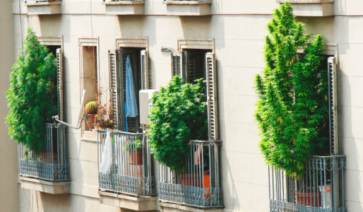 1628016135841.png 1628016135841.png