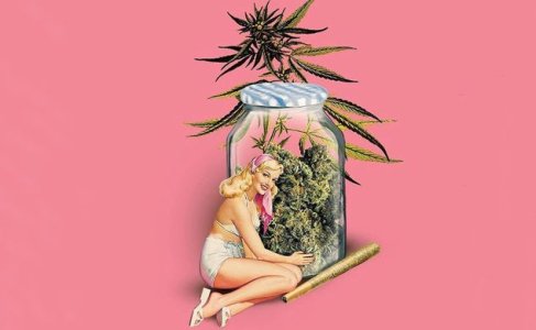 Все о пролечке шишек конопли