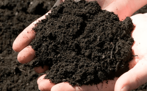 1630244696616.png 1630244696616.png