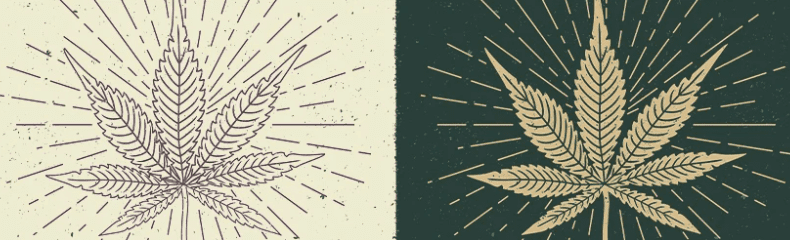 1630931817078.png 1630931817078.png