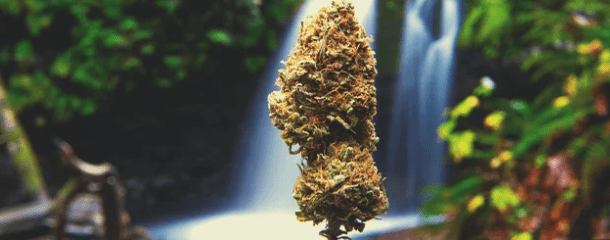 1630931894247.png 1630931894247.png