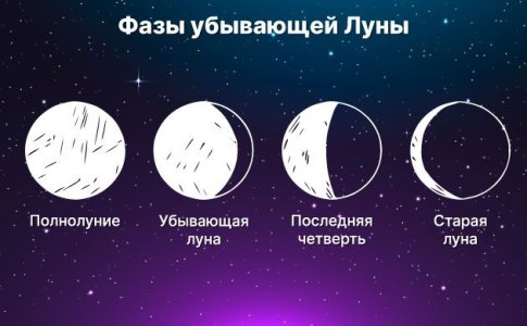 Фазы Луны и выращивание конопли Фазы Луны и выращивание конопли