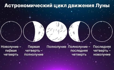 Фазы Луны и выращивание конопли Фазы Луны и выращивание конопли