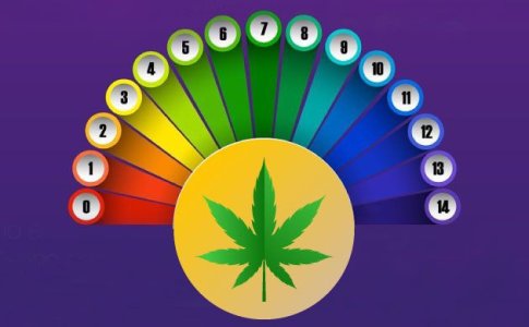 pH для конопли pH для конопли