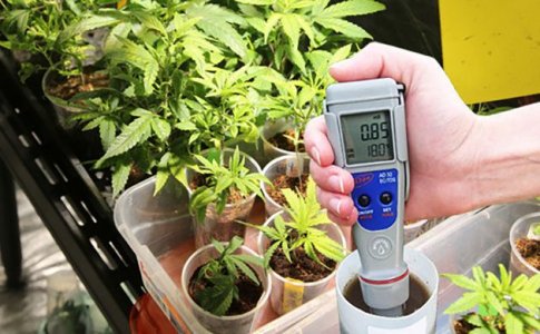 EC для конопли EC для конопли