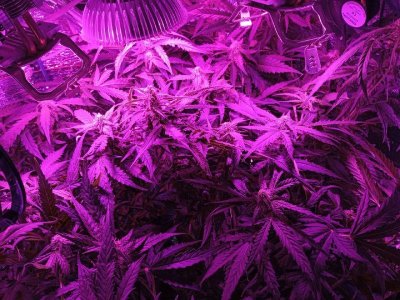 index2.jpg index2.jpg