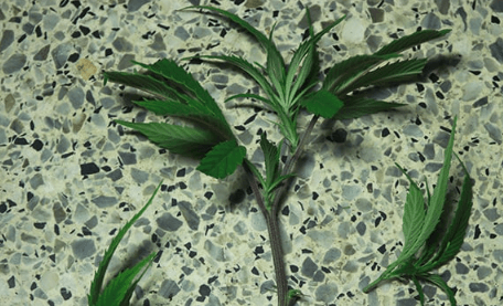 1673462228642.png 1673462228642.png