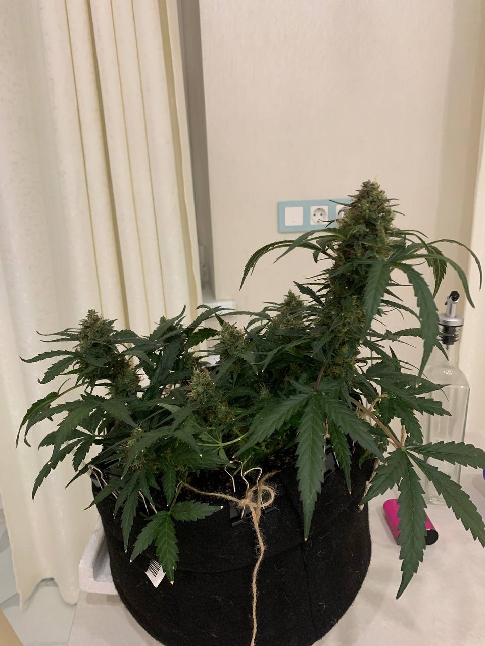 photo_2023-01-12_20-33-15 (2).jpg