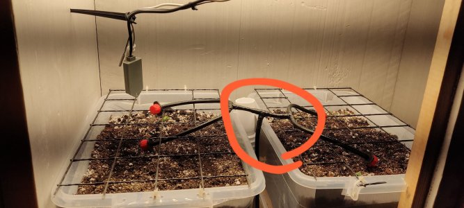 IMG_20230114_131344.jpg IMG_20230114_131344.jpg