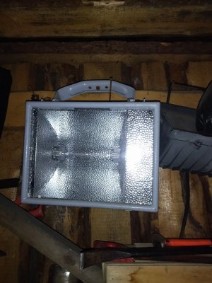 IMG_20230121_142258.jpg IMG_20230121_142258.jpg