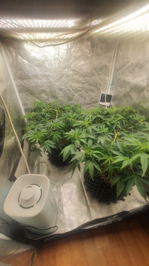 20221011_223940.jpg 20221011_223940.jpg