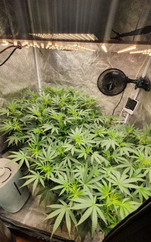 20221026_222336.jpg 20221026_222336.jpg